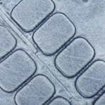 Blue Denim Satoshi Nakamoto Denim Moto Short View