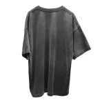 Washed Black Satoshi Nakamoto Usa Tee Back Side